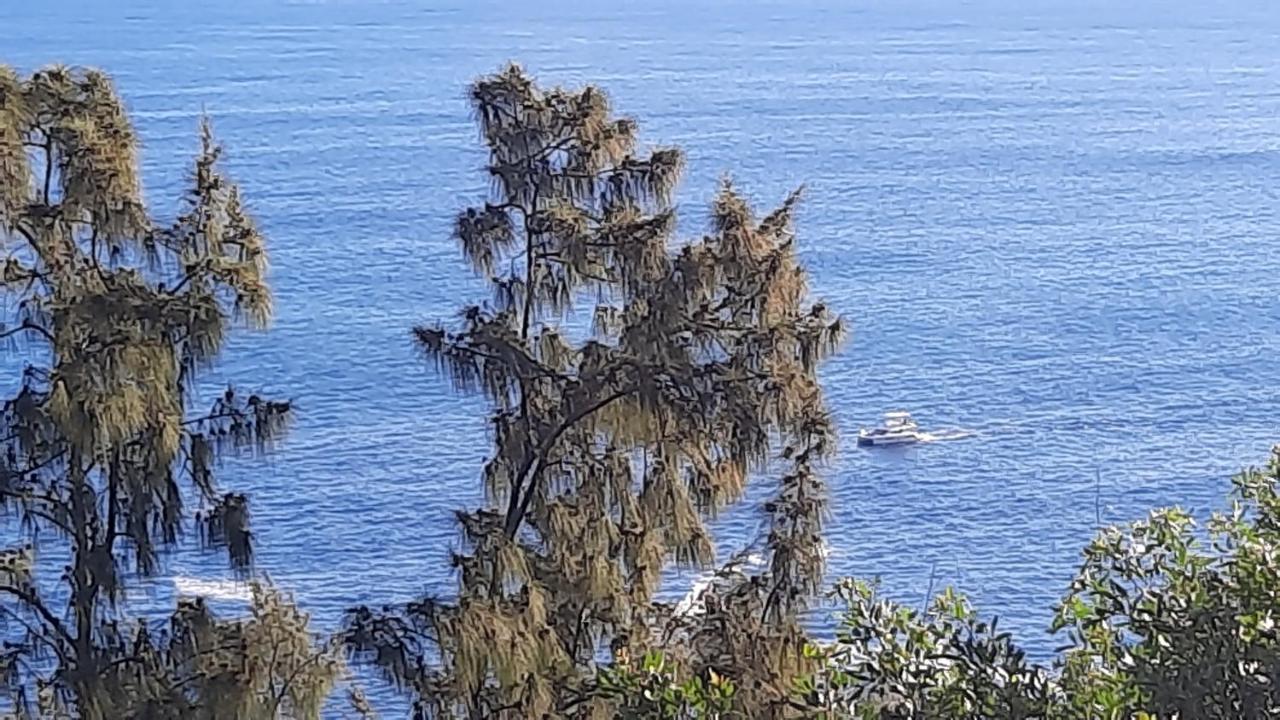 Chambre Vue Sur Mer Entre Grande Anse Et Manapany เปอตี อีเลอ ภายนอก รูปภาพ